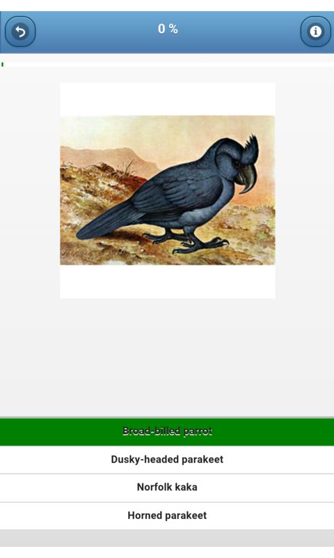 Parrots - quiz