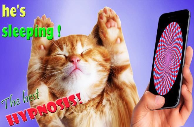 Hypnosis Cat Sleeps Joke