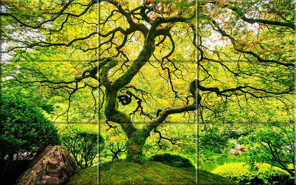 puzzle - forests