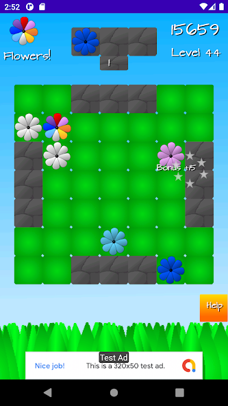 Flowers!