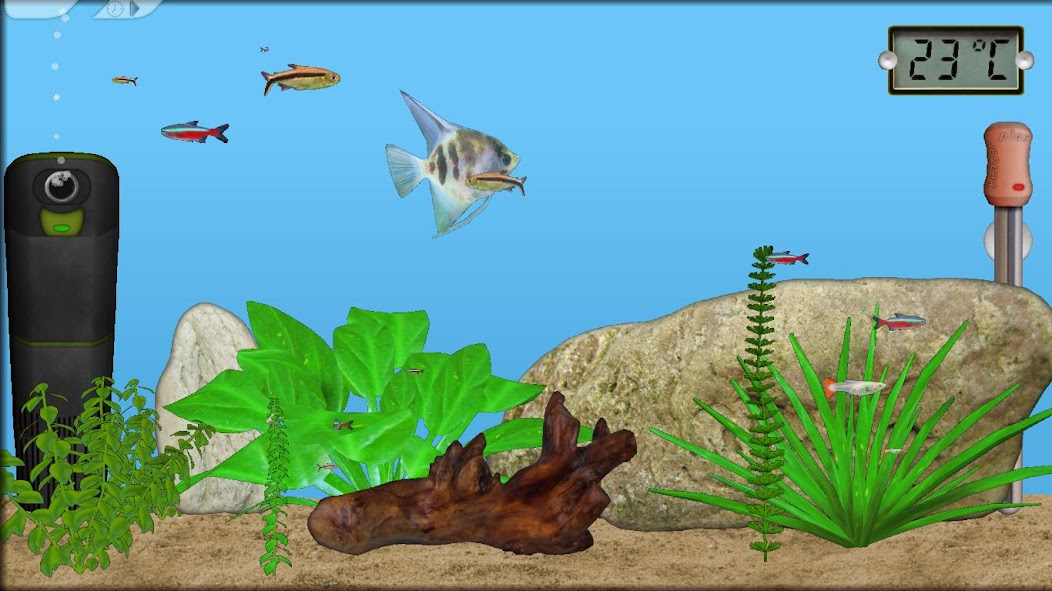 Aquarium Fish