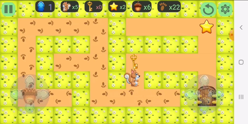 The Squirrel Maze