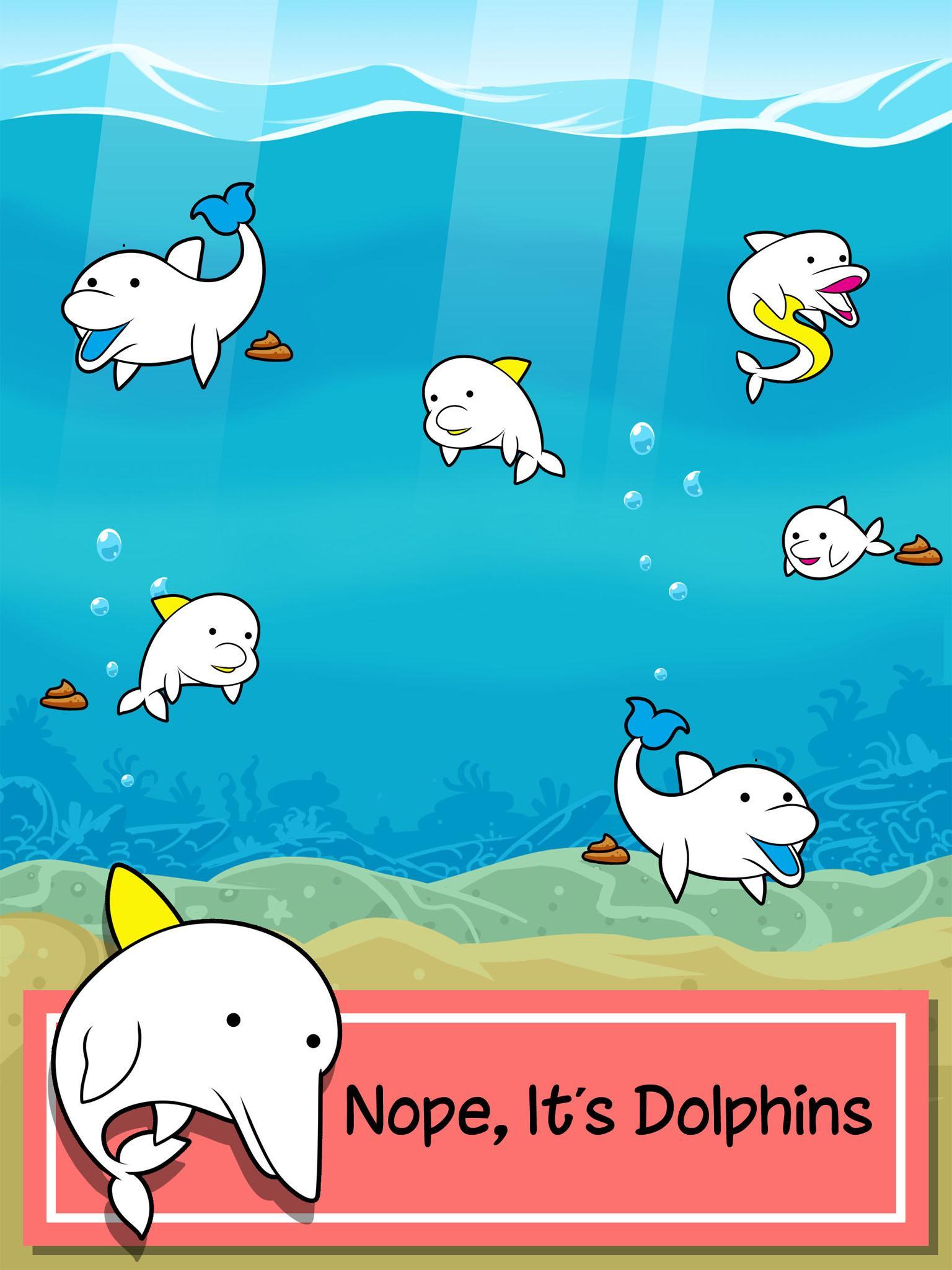 Dolphin Evolution