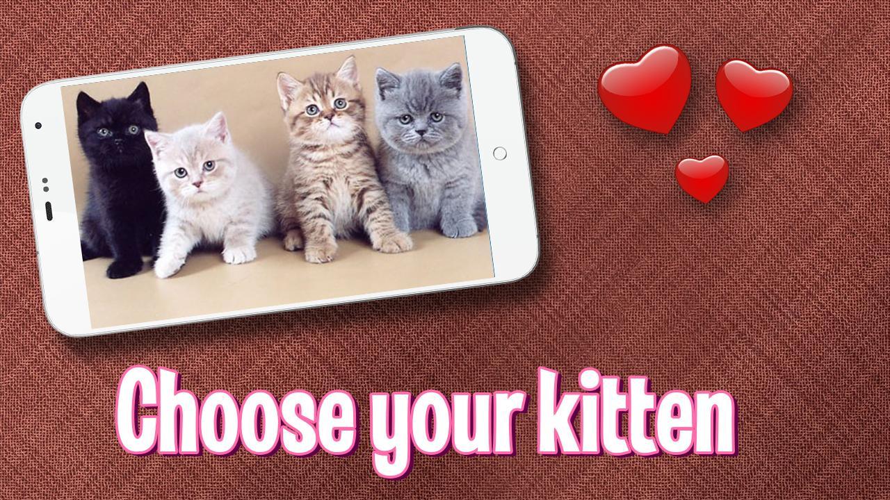 Pat Cute Kitten