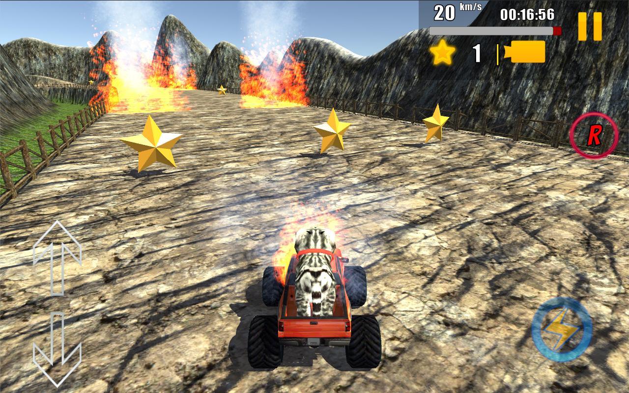 Cat Car Rally 3D!