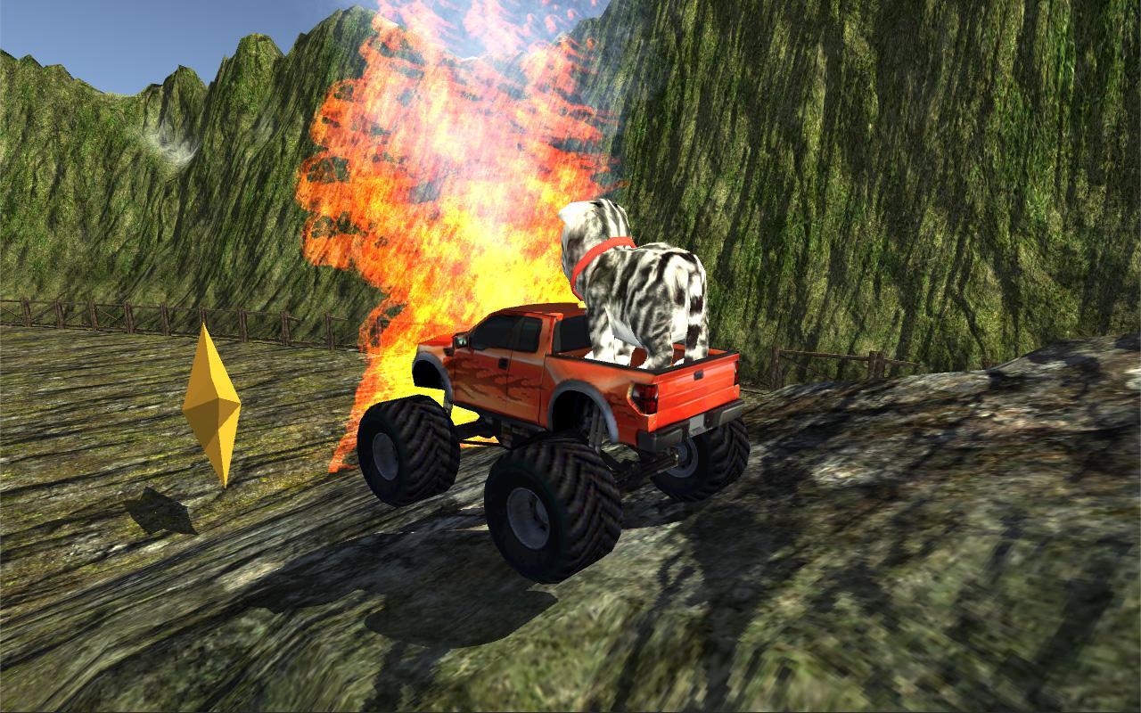 Cat Car Rally 3D!