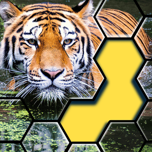 Jigsaw Hexa Puzzle