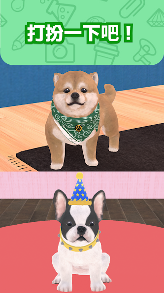 My Dog