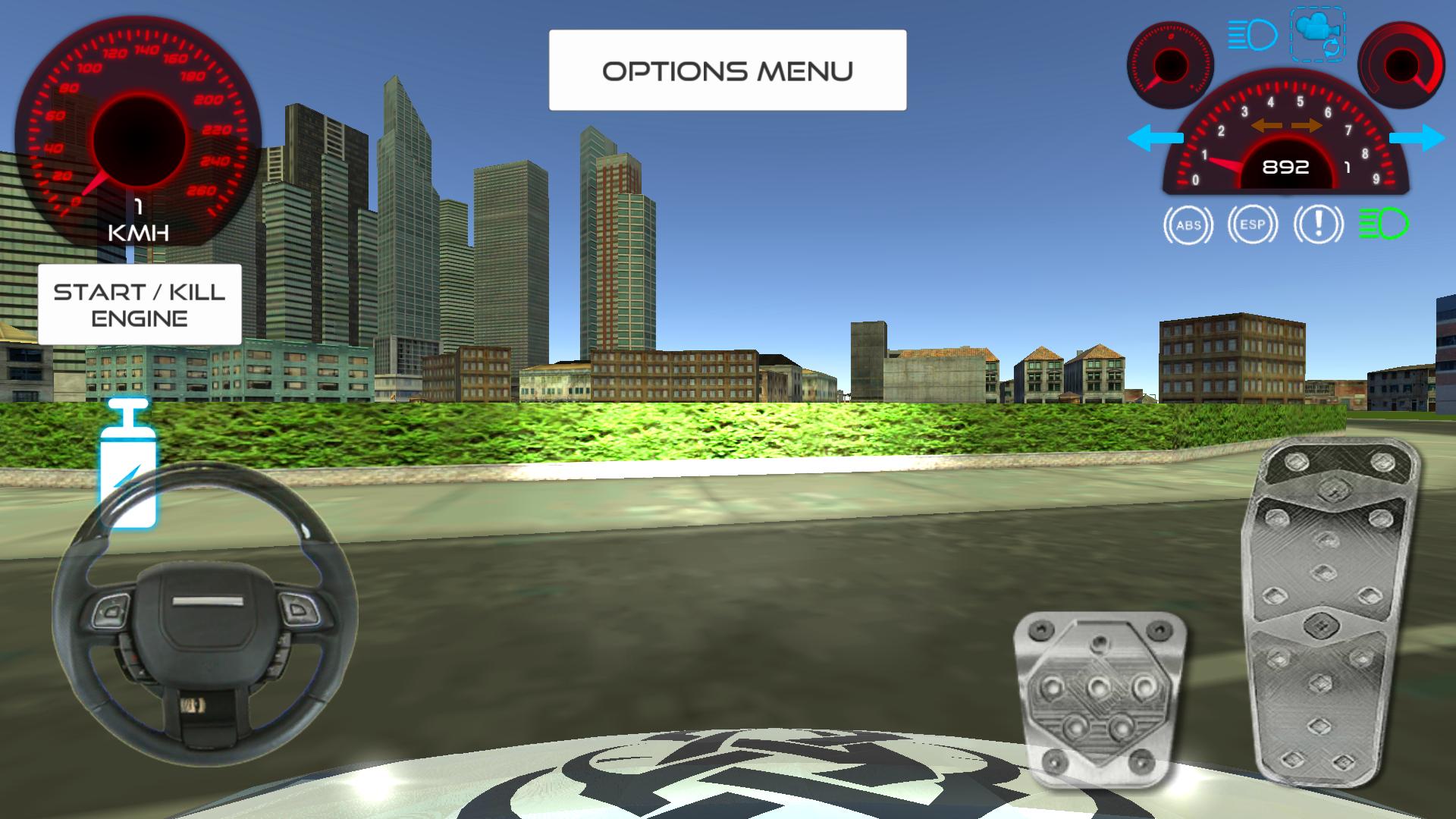 Punto Driving Simulator