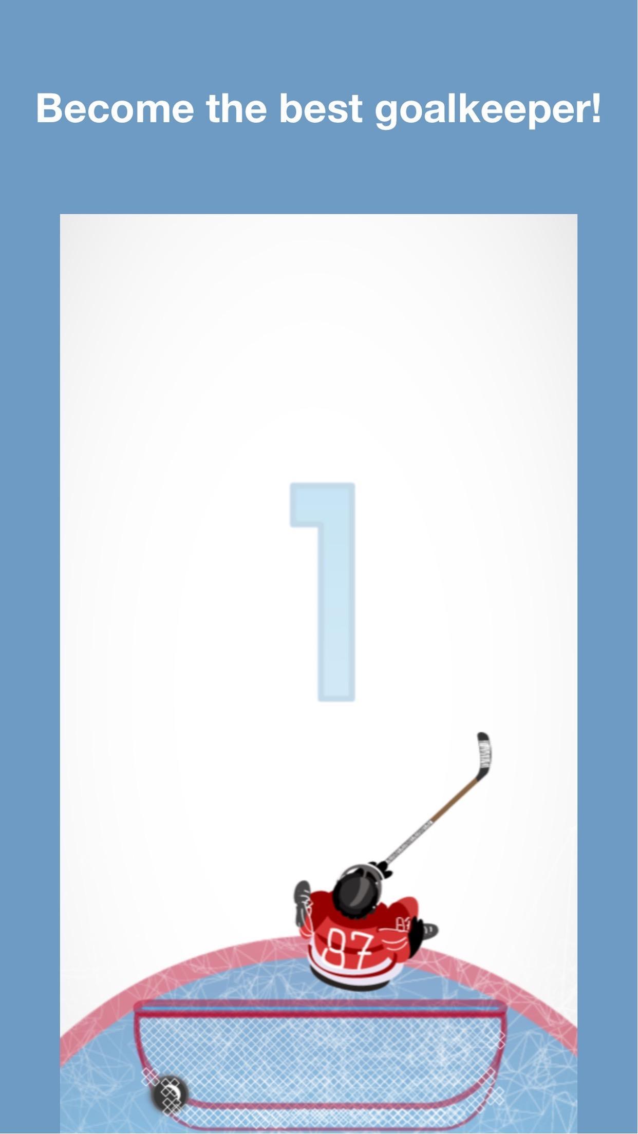 Hockey Goal Stopper