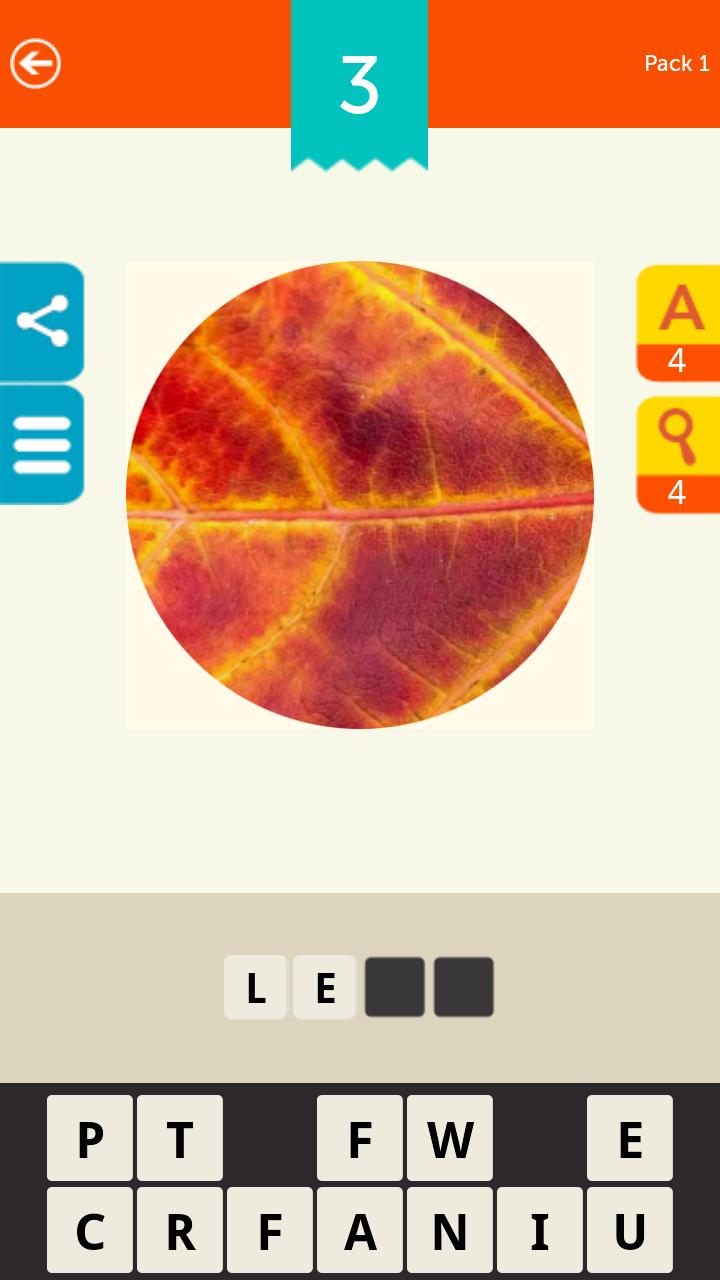 Guess the Pic!
