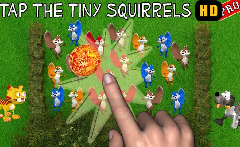 Tap the Squirrel HD Pro