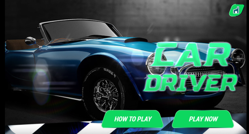 Car Driver