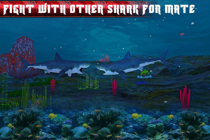 Blue Angry Shark 2016