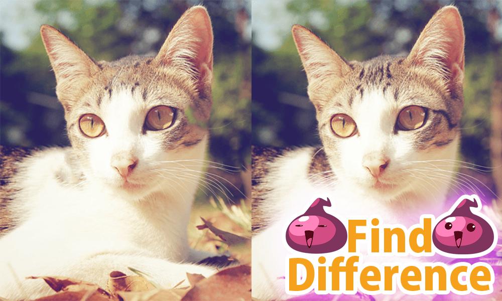 Find The Difference Free 3