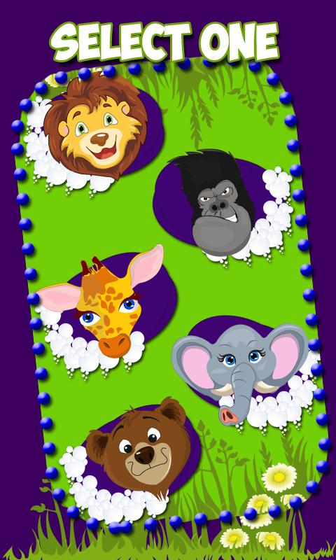 Wild Zoo Wash