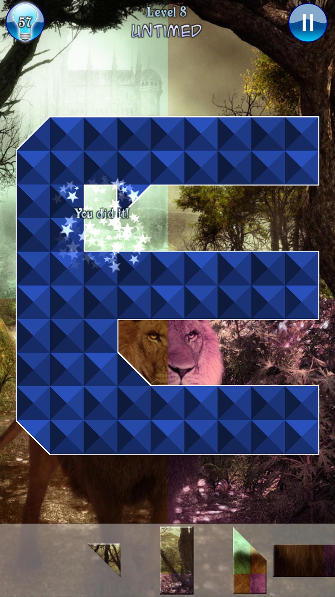 Hidden Pieces: Animal Seasons