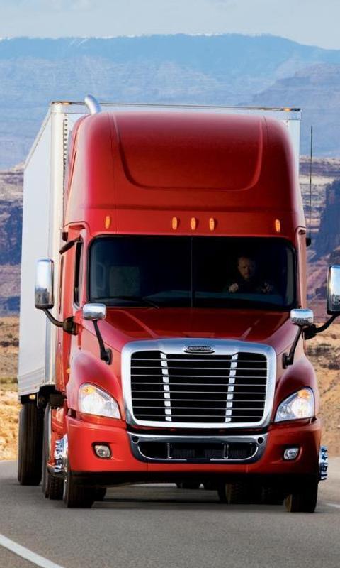 Puzzle Freightliner Auto