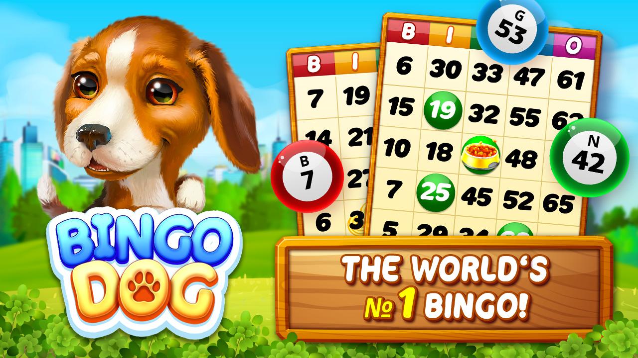 Bingo Dog