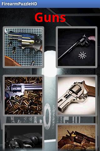 Guns Puzzle