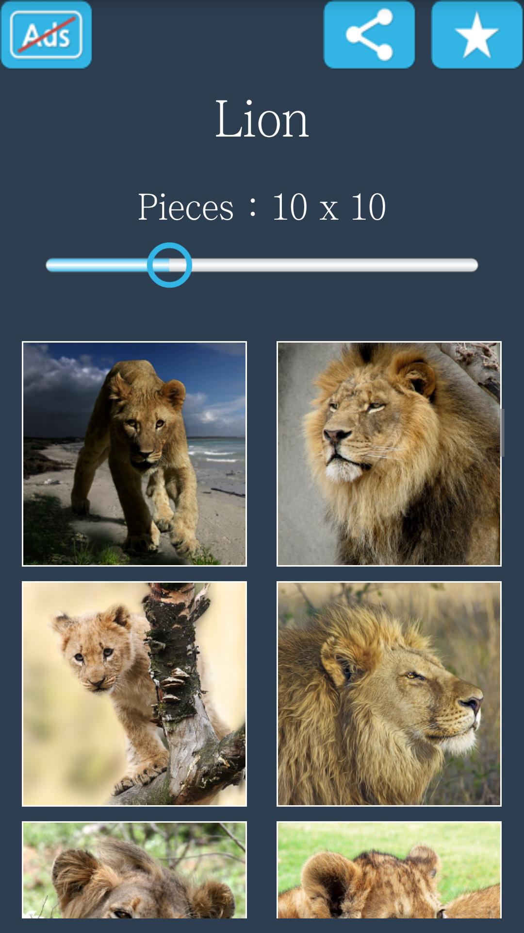 Jigsaw Puzzle: Lion