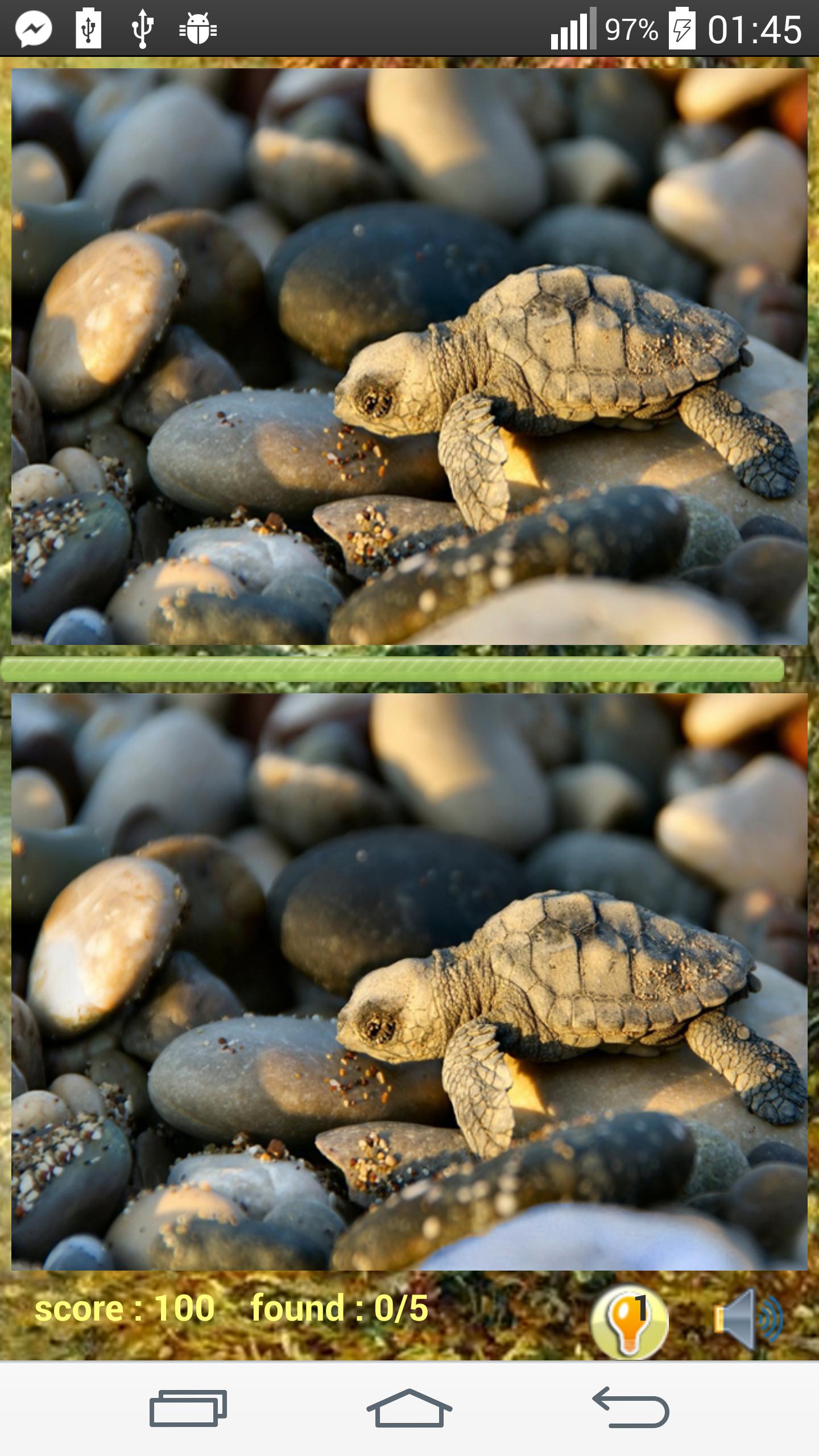 Photo Hunt Animal Game