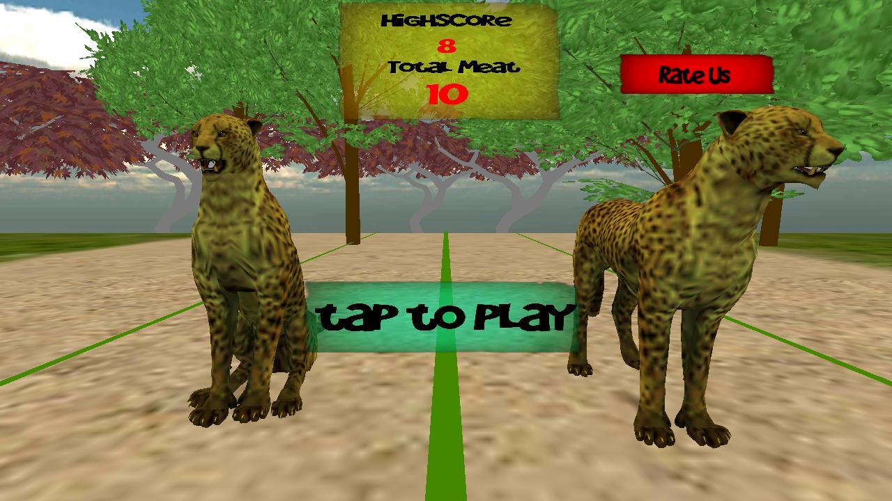 Cheetah Training World