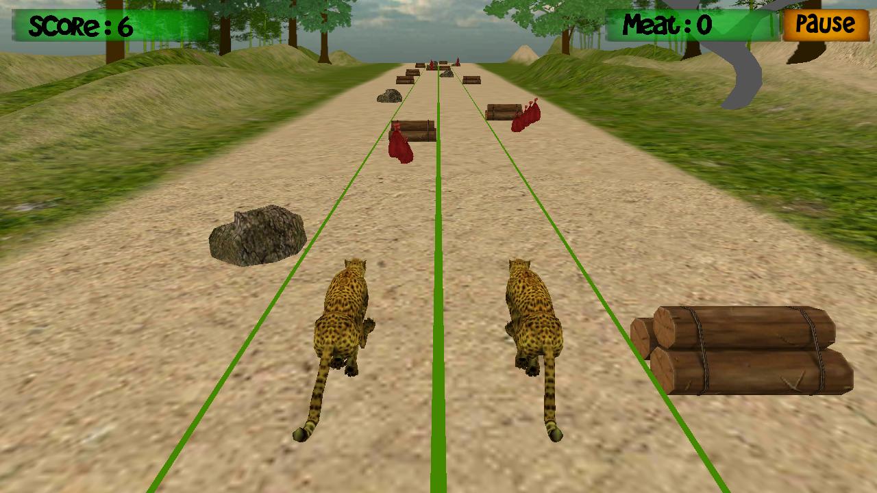 Cheetah Training World